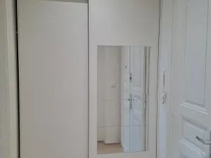 Pronájem bytu 1+1, Praha - Žižkov, Prokopova, 48 m2