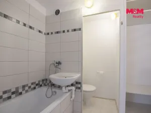 Pronájem bytu 1+1, Hradec Králové - Moravské Předměstí, Sezemická, 33 m2