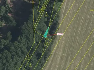 Dražba lesa, Volfířov, 48 m2