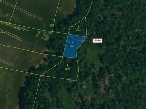 Dražba lesa, Horní Dunajovice, 594 m2