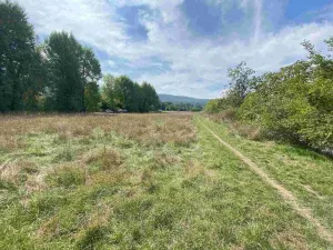 Prodej pozemku, Všenory, 601 m2