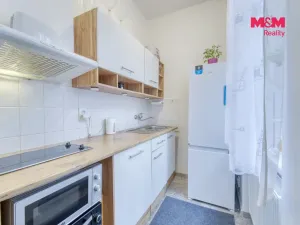 Prodej bytu 1+kk, Plzeň - Východní Předměstí, Plzenecká, 30 m2