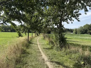 Prodej zahrady, Říčany, Do Lehovic, 2317 m2