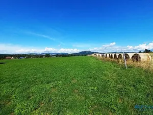 Prodej louky, Police nad Metují, 17068 m2