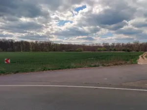 Prodej pole, Budyně nad Ohří, 10260 m2
