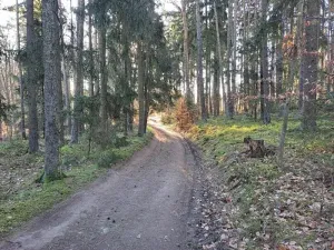 Prodej pozemku, Probulov, 3017 m2