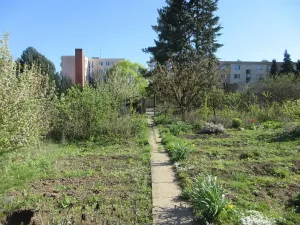 Prodej zahrady, Brno, Řezáčova, 1392 m2
