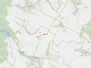 Dražba lesa, Horní Dunajovice, 263 m2