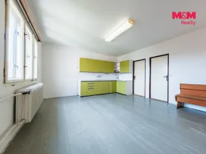 Prodej rodinného domu, Březnice, 236 m2