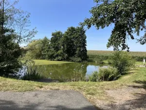 Prodej chalupy, Ratboř, 161 m2