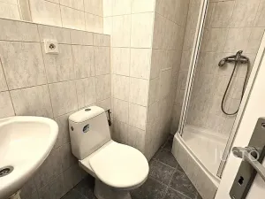 Pronájem bytu 1+kk, Písek, Dr. M. Horákové, 20 m2