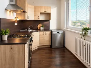 Prodej bytu 2+1, Brno, Za školou, 63 m2