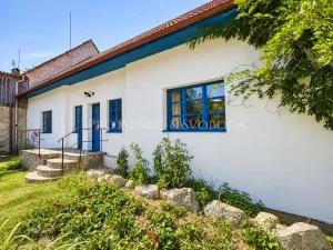 Prodej zemědělské usedlosti, Lhenice, 300 m2