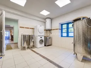 Prodej zemědělské usedlosti, Lhenice, 300 m2