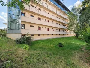 Prodej bytu 1+1, Brno, Dvorského, 39 m2