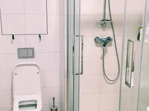 Pronájem bytu 1+kk, Praha - Dejvice, Lindleyova, 42 m2