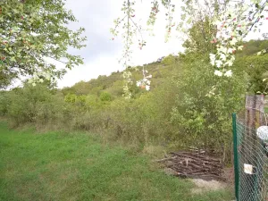 Pronájem zahrady, Křešice, 1500 m2