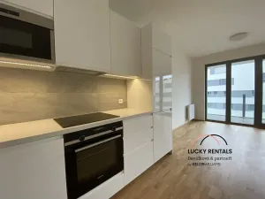 Pronájem bytu 2+kk, Praha - Karlín, U Mlýnského kanálu, 56 m2