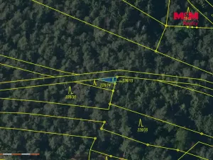 Prodej lesa, Břežany, 3520 m2