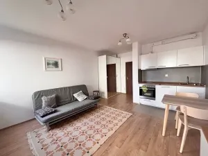 Pronájem bytu 1+kk, Praha - Stodůlky, Svitákova, 30 m2