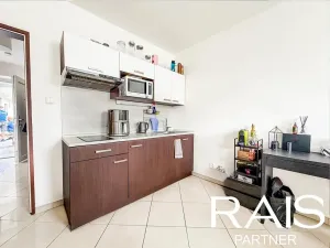 Prodej bytu 1+kk, Brno, 29 m2