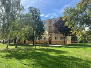 Prodej bytu 2+1, Žatec, Hájkova, 51 m2