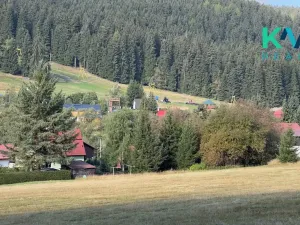 Prodej louky, Pernink, 25316 m2
