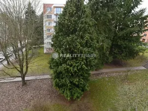 Prodej bytu 3+1, Strakonice, Dr. Jiřího Fifky, 62 m2