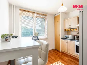 Prodej bytu 1+1, Ostrava - Výškovice, Srbská, 39 m2