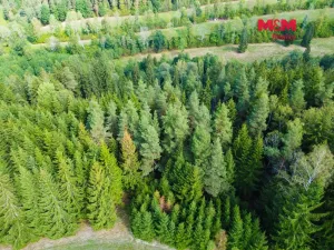 Prodej pozemku pro bydlení, Záblatí - Albrechtovice, 64409 m2