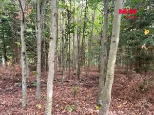 Prodej pozemku pro bydlení, Záblatí - Albrechtovice, 64409 m2
