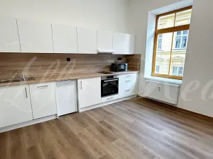 Pronájem bytu 2+kk, Brno - Zábrdovice, Bratislavská, 50 m2