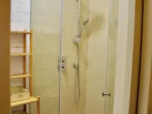 Pronájem bytu 2+kk, Praha - Vinohrady, Mánesova, 55 m2