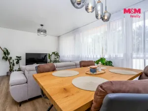 Prodej bytu 3+kk, Brandýs nad Labem-Stará Boleslav - Brandýs nad Labem, Kaštanová, 67 m2