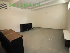 Prodej skladu, Plzeň, Francouzská třída, 39 m2