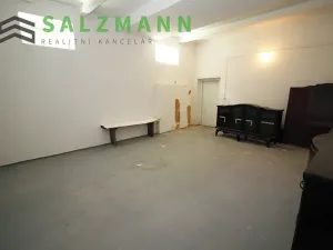 Prodej skladu, Plzeň, Francouzská třída, 39 m2