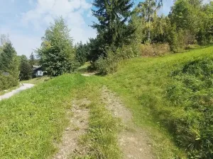 Prodej chalupy, Strážné, 200 m2