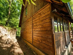 Prodej chaty, Sýkořice, 85 m2
