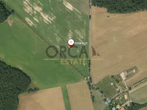 Prodej podílu pole, Arnoltice, 2916 m2