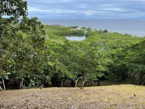 Prodej pozemku, Jonesville, Honduras, 500 m2