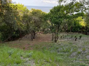 Prodej pozemku, Jonesville, Honduras, 500 m2