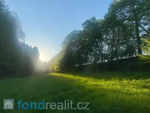 Prodej pole, Tachov, 3829 m2