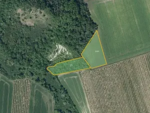 Prodej pole, Želkovice, 133318 m2