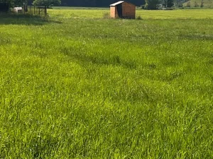 Prodej pozemku pro bydlení, Dobrá, 1288 m2