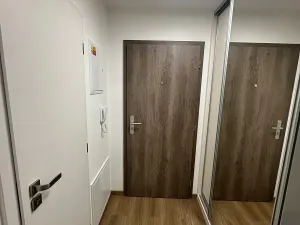 Pronájem bytu 1+kk, Havlíčkův Brod, U Cihláře, 34 m2