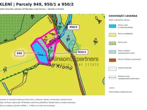 Prodej pozemku, Benešov nad Černou - Klení, 6805 m2