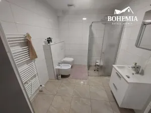 Prodej bytu 4+1, Teplice, U Hadích lázní, 105 m2