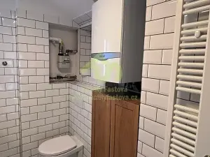 Pronájem bytu 3+kk, Plzeň, Zahradní, 56 m2