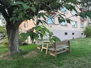 Pronájem bytu 3+kk, Plzeň, Zahradní, 56 m2