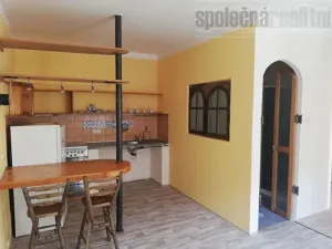 Pronájem bytu 2+kk, Praha - Žižkov, Lucemburská, 52 m2